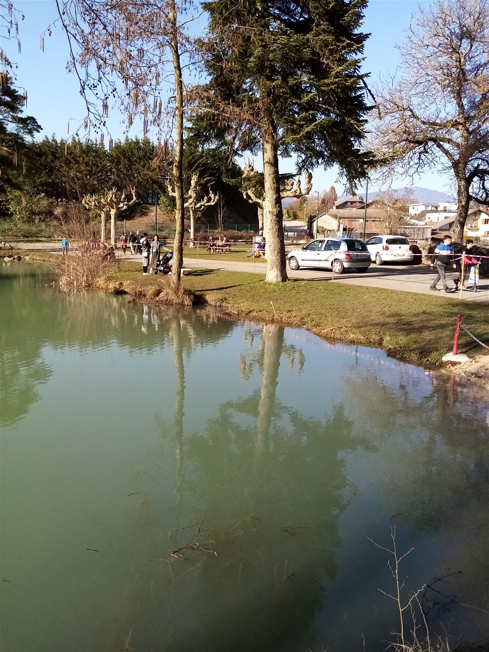 Berges de l'étang du Nièvre